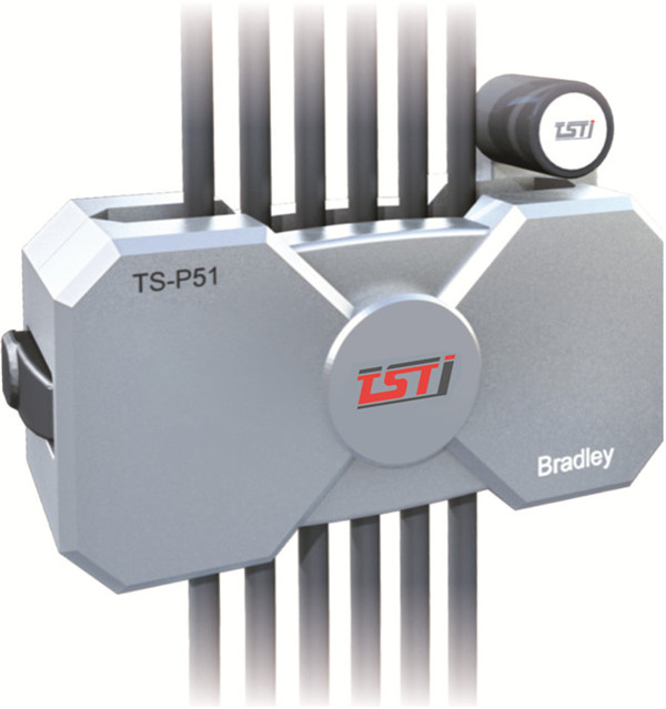 电梯猫咪视频在线观看污