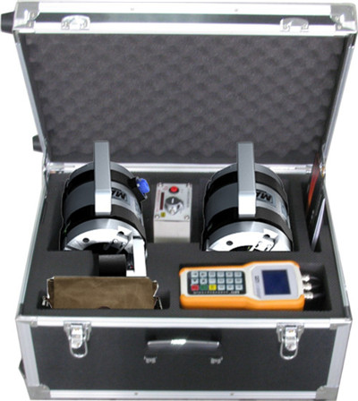 携带型猫咪视频在线观看污