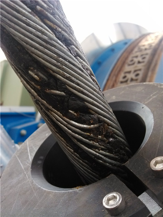 猫咪视频在线观看污