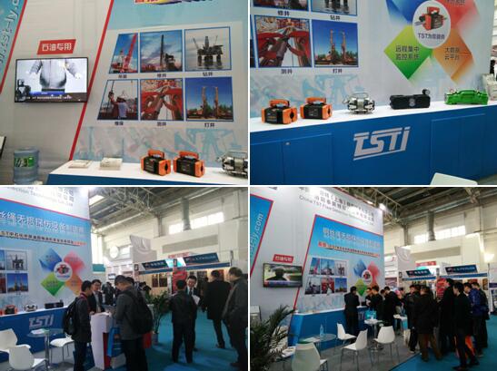 泰斯石油行业猫咪网站在线成人免费看探伤域的军者