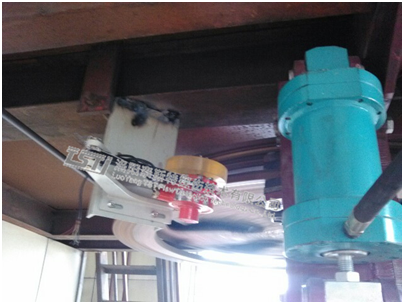 猫咪视频在线观看污