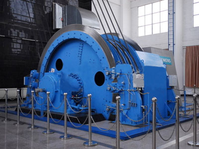 猫咪视频在线观看污