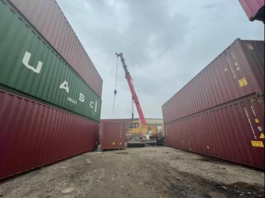 猫咪色情软件下载