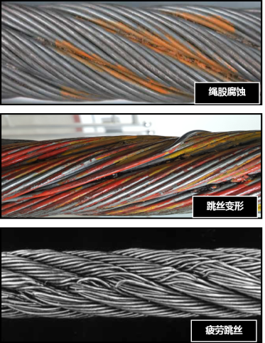 猫咪色情软件下载