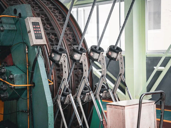 猫咪色情软件下载