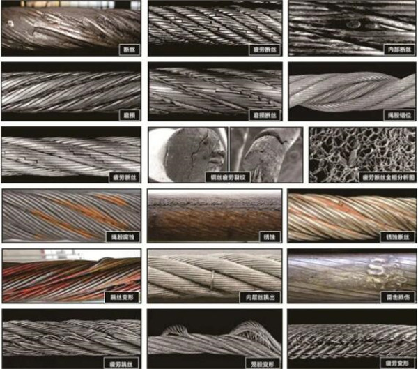 猫咪色情软件下载