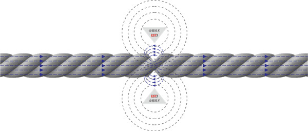 猫咪网站在线成人免费看探伤