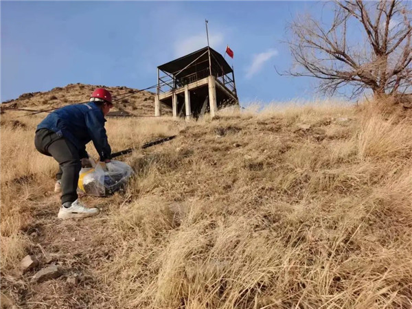 猫咪网站在线成人免费看探伤