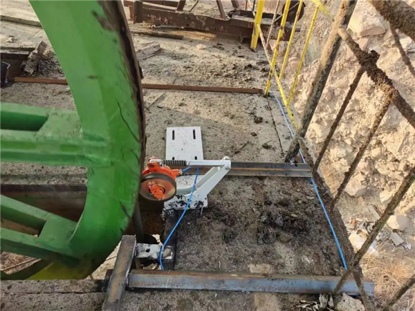 猫咪网站在线成人免费看探伤