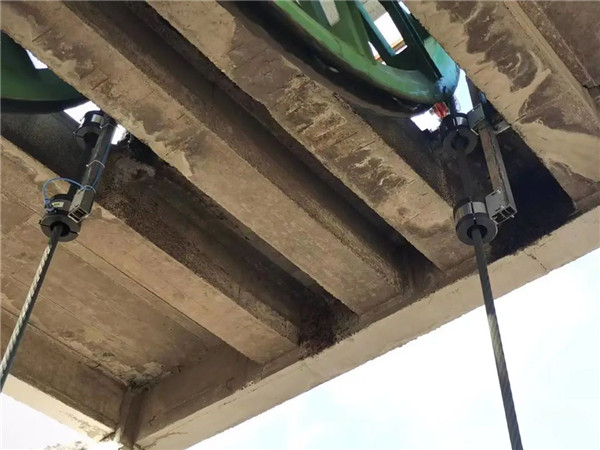 猫咪网站在线成人免费看探伤