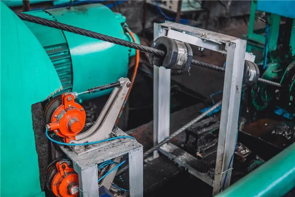 猫咪网站在线成人免费看探伤