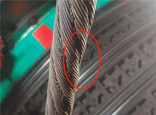 猫咪网站在线成人免费看探伤