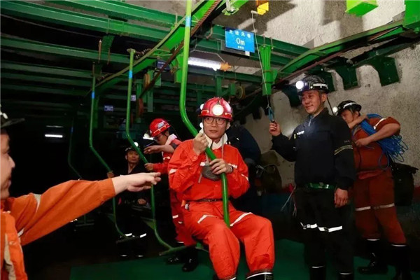 猫咪网站在线成人免费看实时在线智能探伤系统