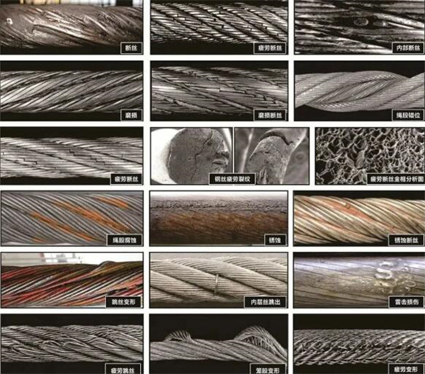 猫咪网站在线成人免费看损伤