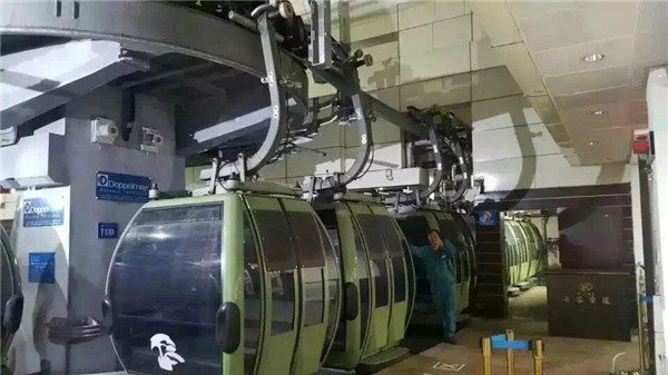 猫咪色情软件下载现场