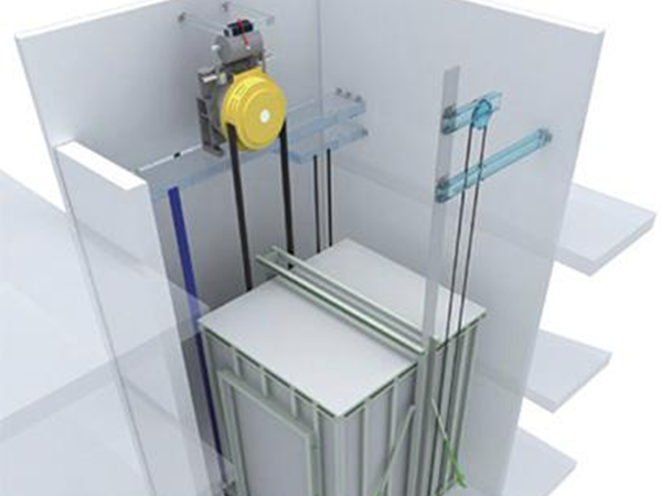 电梯猫咪网站在线成人免费看