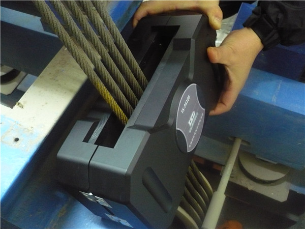 猫咪视频在线观看污