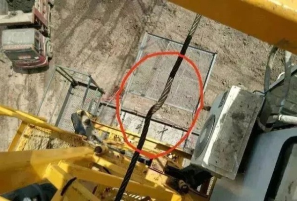 猫咪网站在线成人免费看损伤