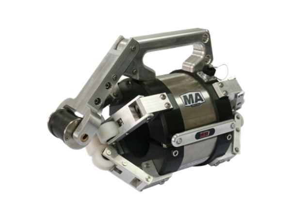 猫咪视频在线观看污