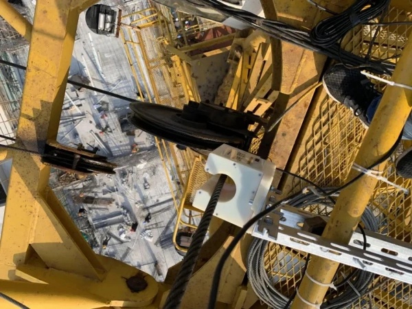 猫咪色情软件下载