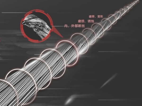 猫咪色情软件下载